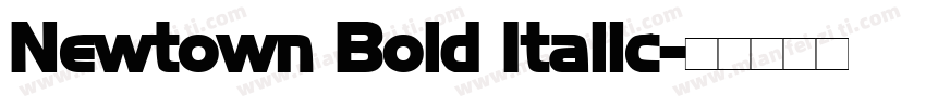 Newtown Bold Italic字体转换